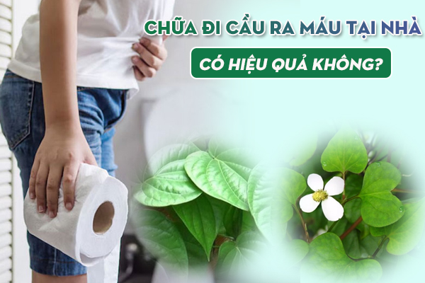 Cách chữa đi cầu ra máu tại nhà có hiệu quả không? Biện pháp khắc phục an toàn