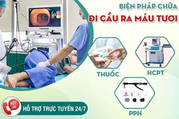 Đi cầu ra máu tươi nhỏ giọt - Dấu hiệu chớ xem nhẹ