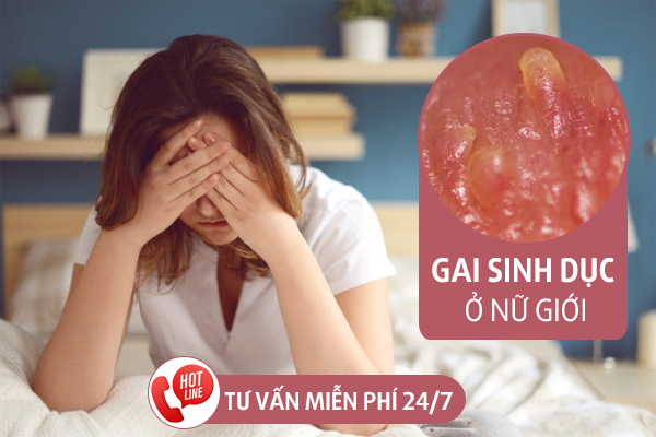 Gai sinh dục ở nữ - Nguyên nhân, dấu hiệu và cách chữa trị
